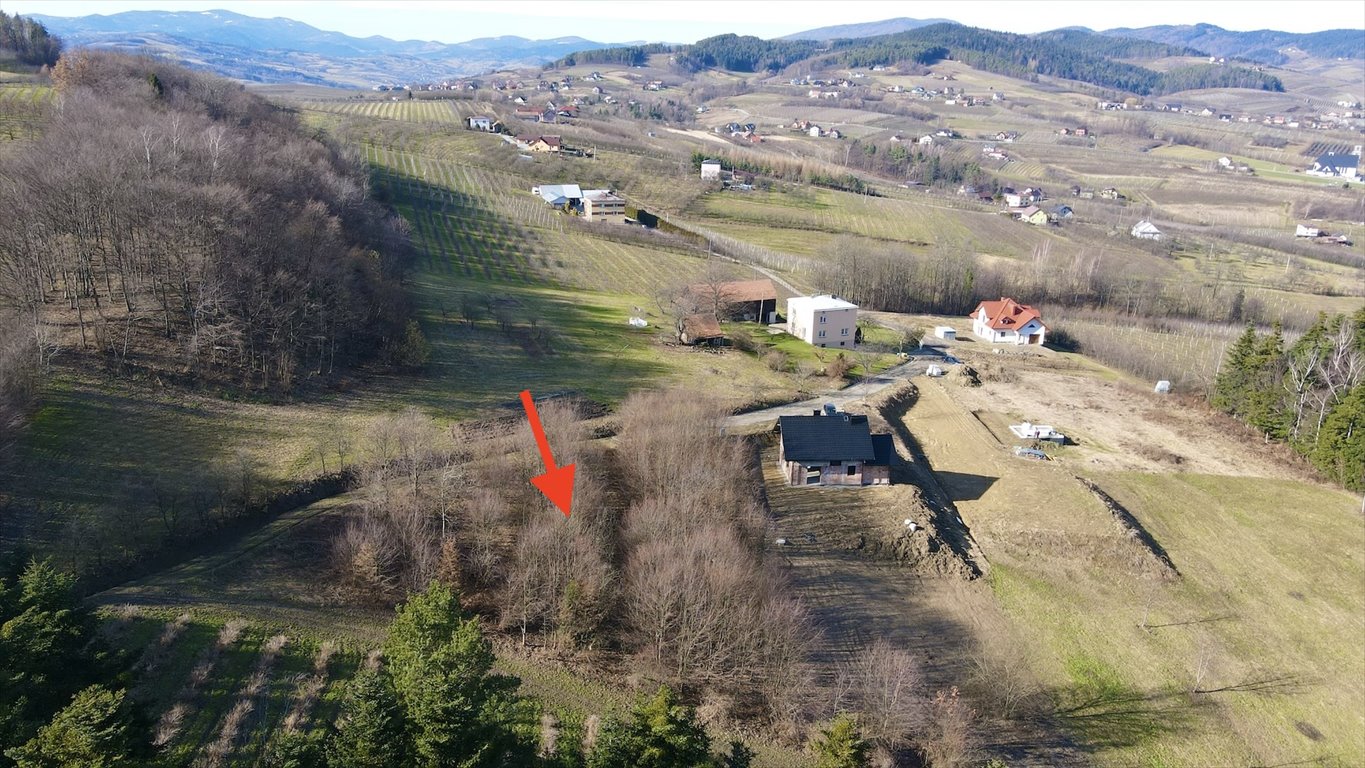 Działka budowlana na sprzedaż Olszana  2 153m2 Foto 10