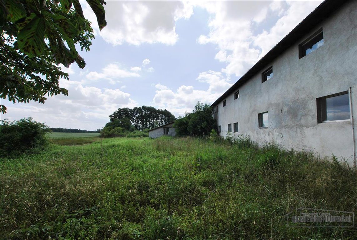 Lokal użytkowy na sprzedaż Brzeźnica  1 759m2 Foto 3