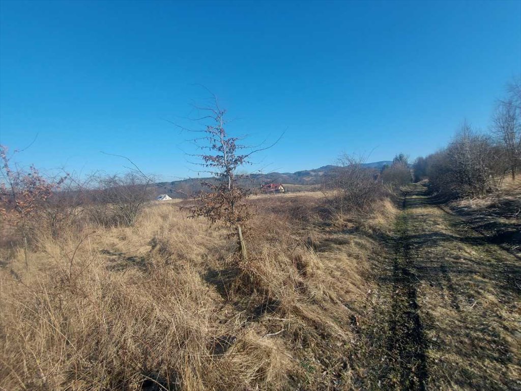 Działka inna na sprzedaż Walim, Niedźwiedzica  1 979m2 Foto 8