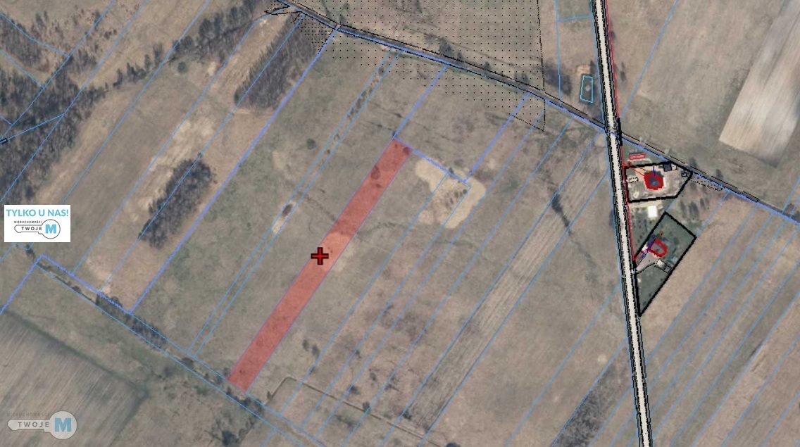 Działka rolna 0,5 ha w Wólce Kłuckiej - polecam Mniów, Wólka Kłucka  5 000m2 Foto 1