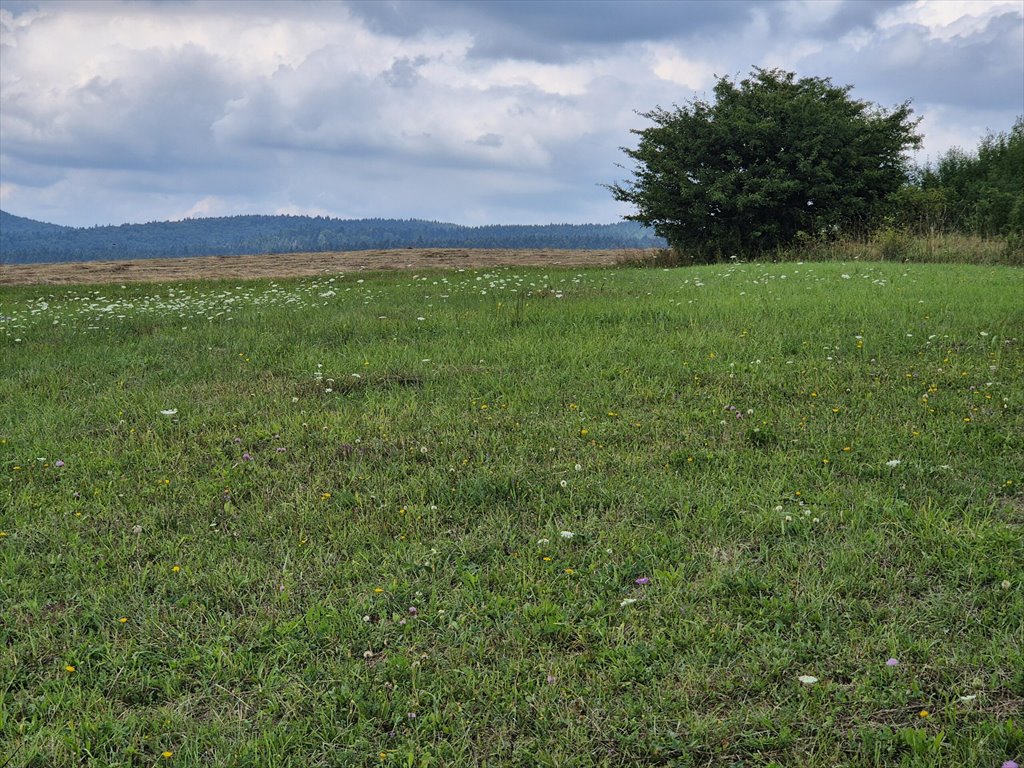 Działka rolna na sprzedaż Posada Jaśliska  9 300m2 Foto 11