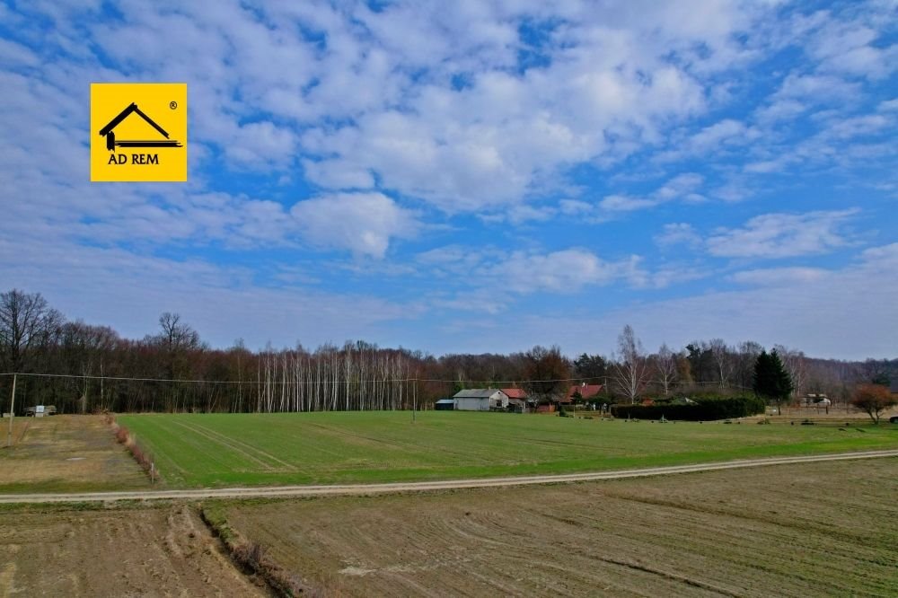 Unikalna działka z lasem i własnym wąwozem, 9 321 m² Zawada, Zawada, Celejów, Rąblów  9 321m2 Foto 1