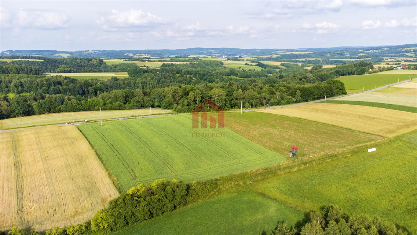 Działka budowlana na sprzedaż Wielopole Skrzyńskie  3 650m2 Foto 10