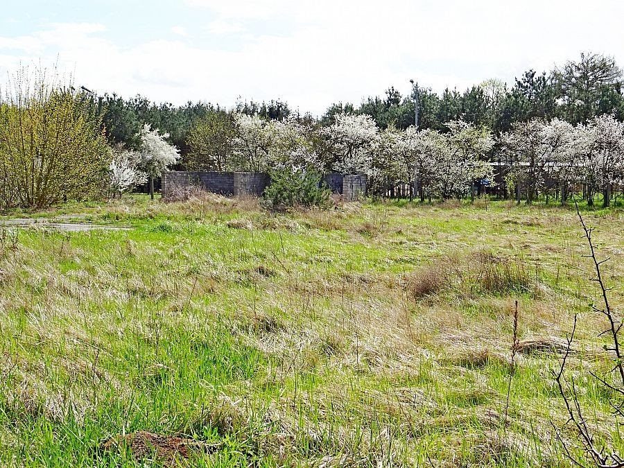 Działka inwestycyjna pod dzierżawę Grudziądz 4 500m2 Foto 1 Działka inwestycyjna pod dzierżawę Grudziądz 4 500m2 Foto 1
