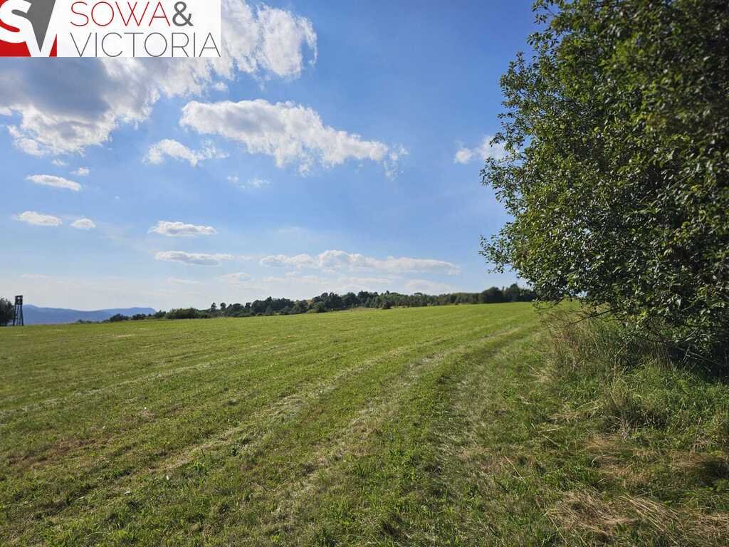 Działka budowlana na sprzedaż Sierpnica  1 078m2 Foto 10