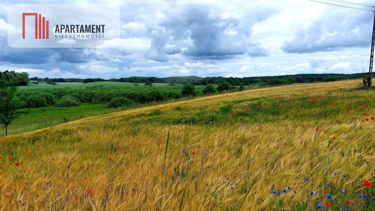 Działka budowlana na sprzedaż Jeleń  5 141m2 Foto 7