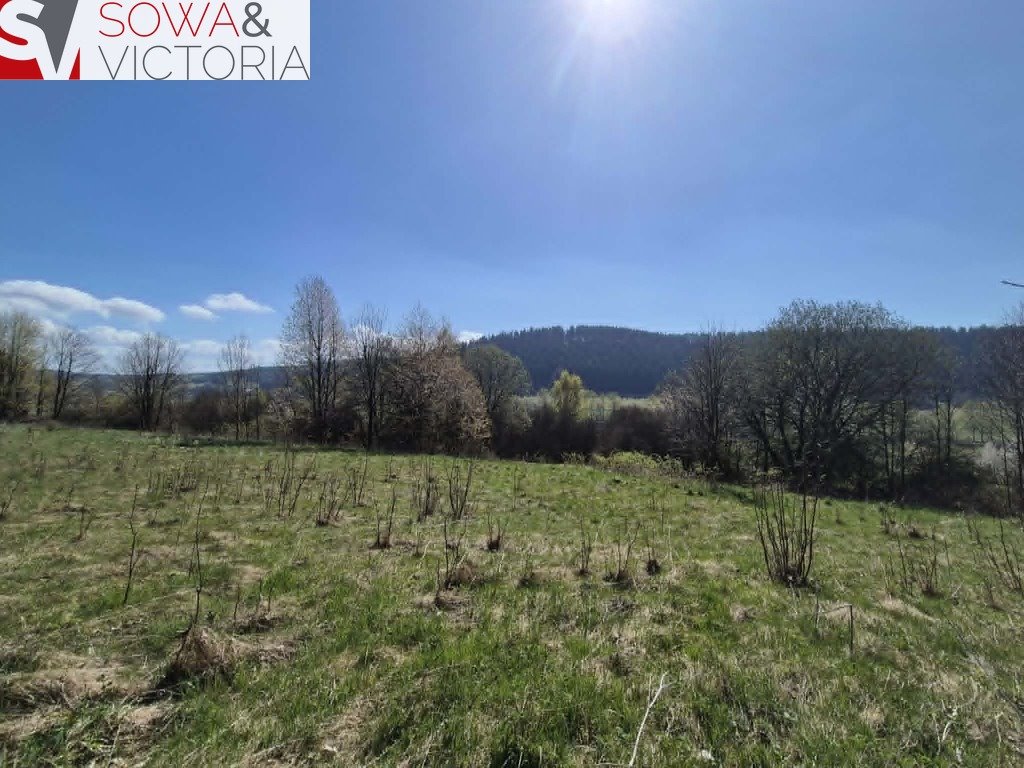Malownicza działka 3183 m² z mediami i naturą (Głuszyca Górna) Głuszyca Górna  3 183m2 Foto 1