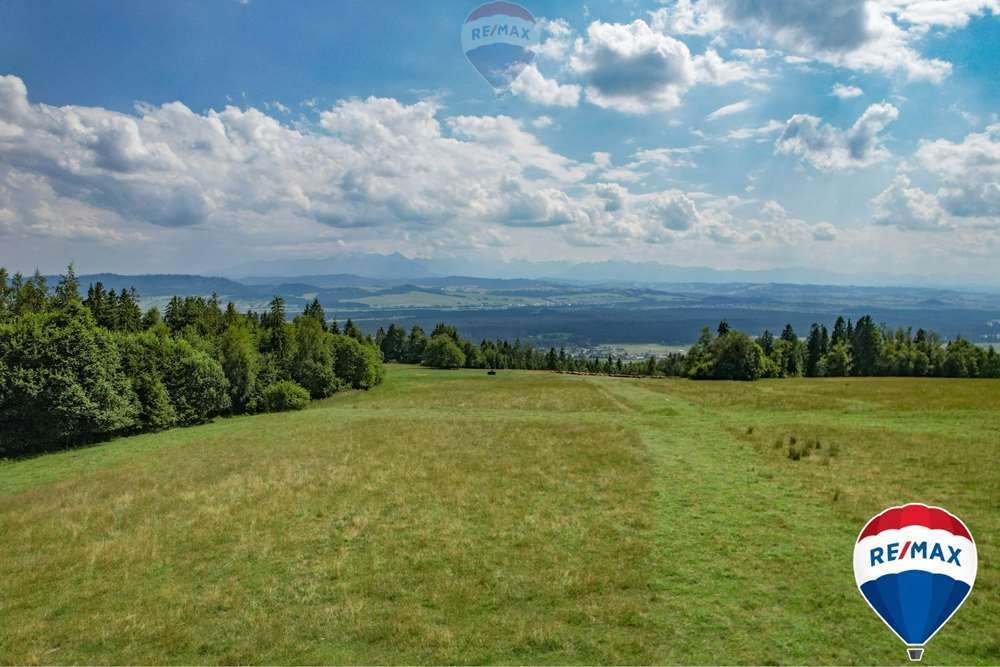 Działka rolna na sprzedaż Knurów  7 103m2 Foto 1