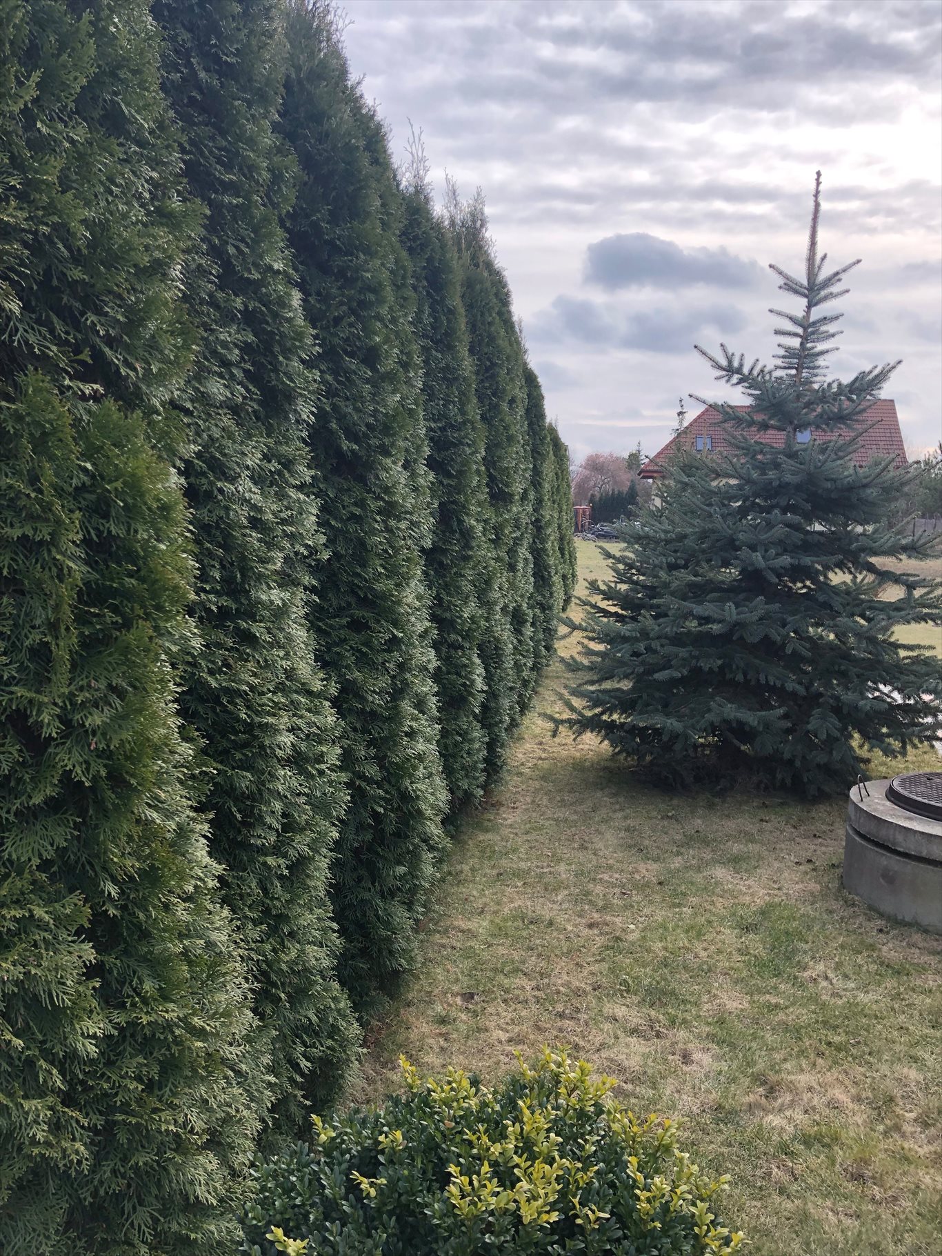 Dom na sprzedaż Chyliczki 155m2 Foto 1 Dom na sprzedaż Chyliczki 155m2 Foto 1