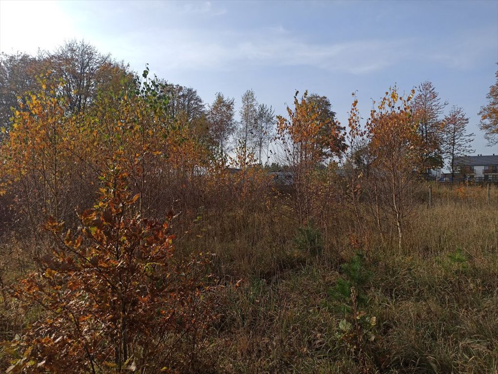 Działka budowlana na sprzedaż Leśniewo, Pucka  1 013m2 Foto 7