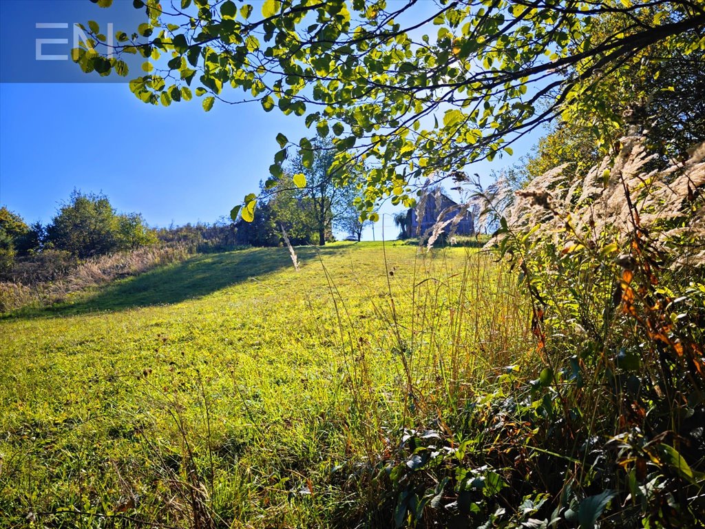 Działka rekreacyjna na sprzedaż Różanka  7 000m2 Foto 4