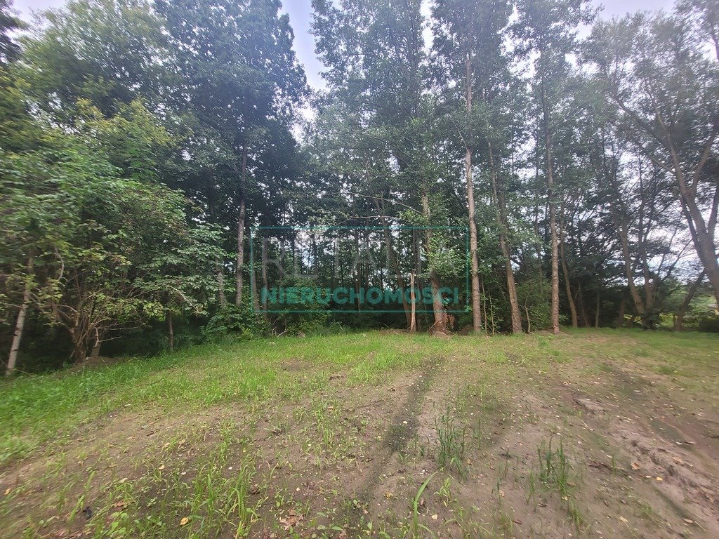 Działka budowlana na sprzedaż Opypy  1 606m2 Foto 7