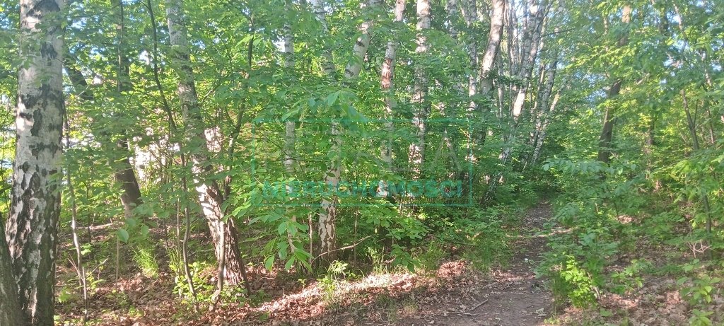 Duża działka rekreacyjna z zabudową i stawem w Książenicach Książenice  13 200m2 Foto 1