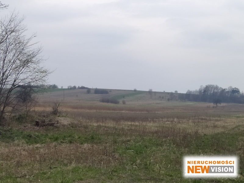 Działka 29 724 m² z mediami i zabudowaniami - Przeczyce Przeczyce, Przeczyce  29 724m2 Foto 1