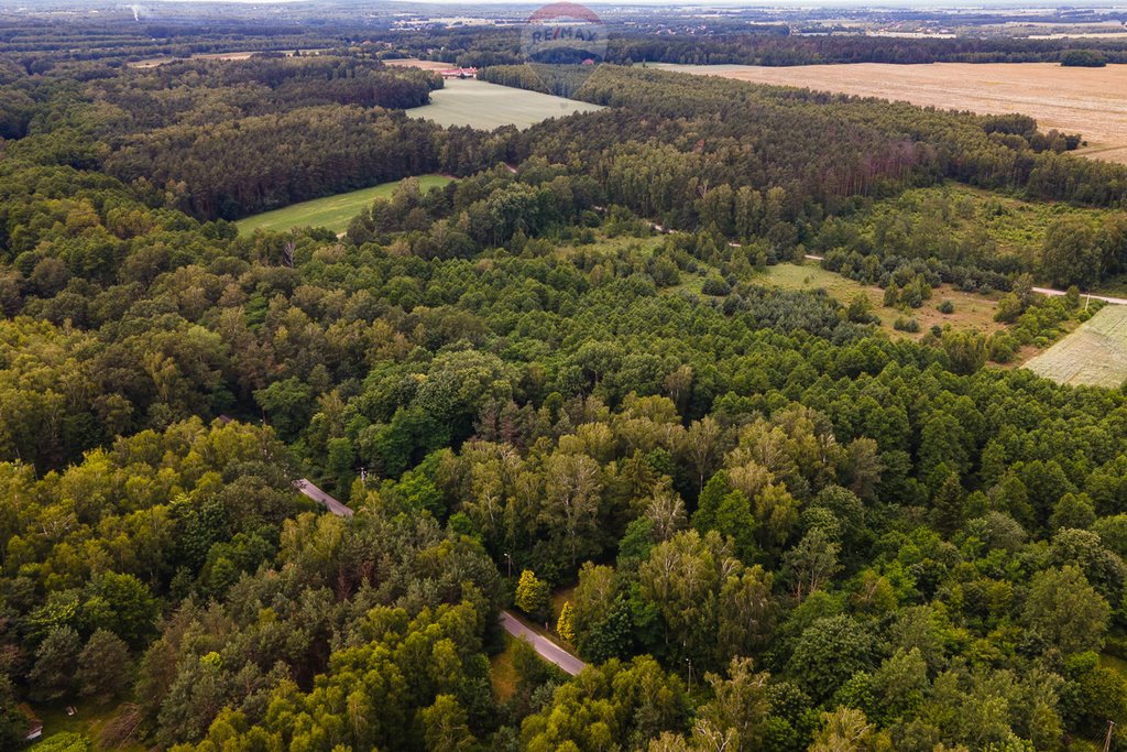 Działka siedliskowa na sprzedaż Boginia  53 419m2 Foto 6