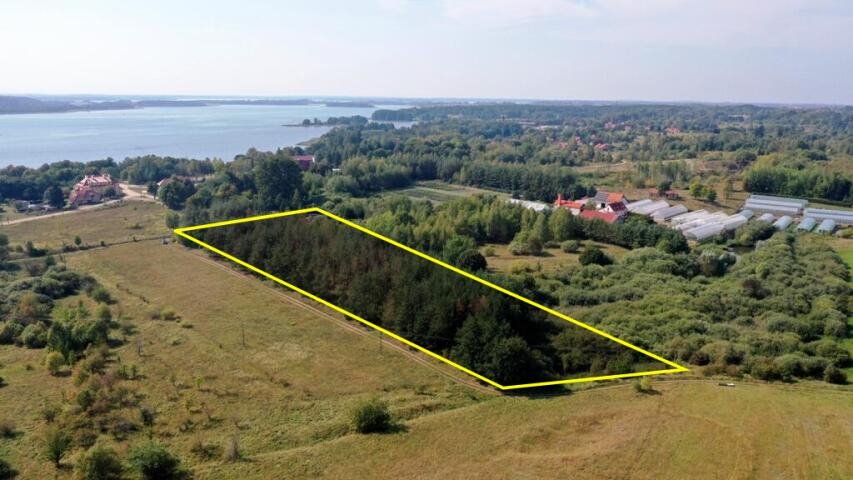 Działka budowlana na sprzedaż Ogonki  8 100m2 Foto 5