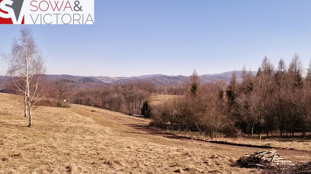 Działka budowlana na sprzedaż Zagórze Śląskie  2 100m2 Foto 1