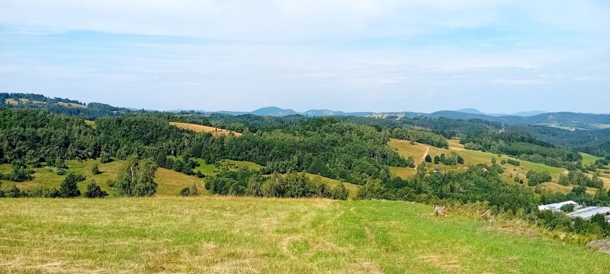 Działka budowlana na sprzedaż Michałkowa  1 200m2 Foto 3