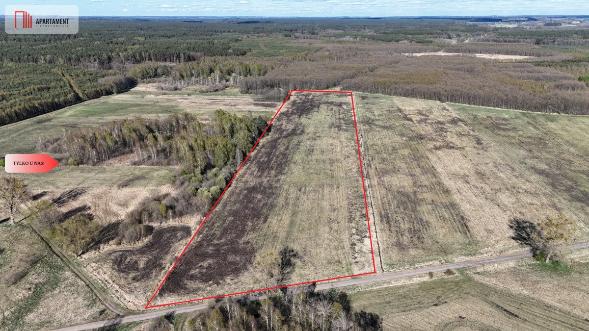 Sprzedam działkę rolną 4,85ha w Dalewie - spokój i natura Dalewo  48 500m2 Foto 1