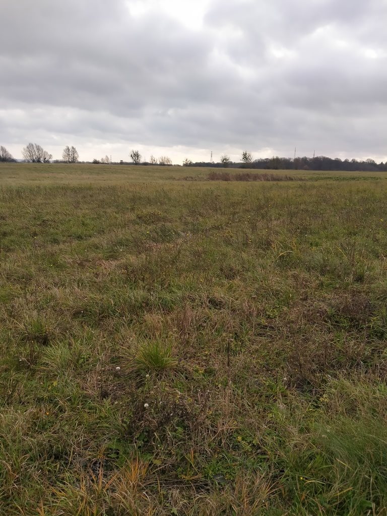 Działka 3 074 m² pod zabudowę mieszkaniową w Skolwin Szczecin, Skolwin  3 074m2 Foto 1