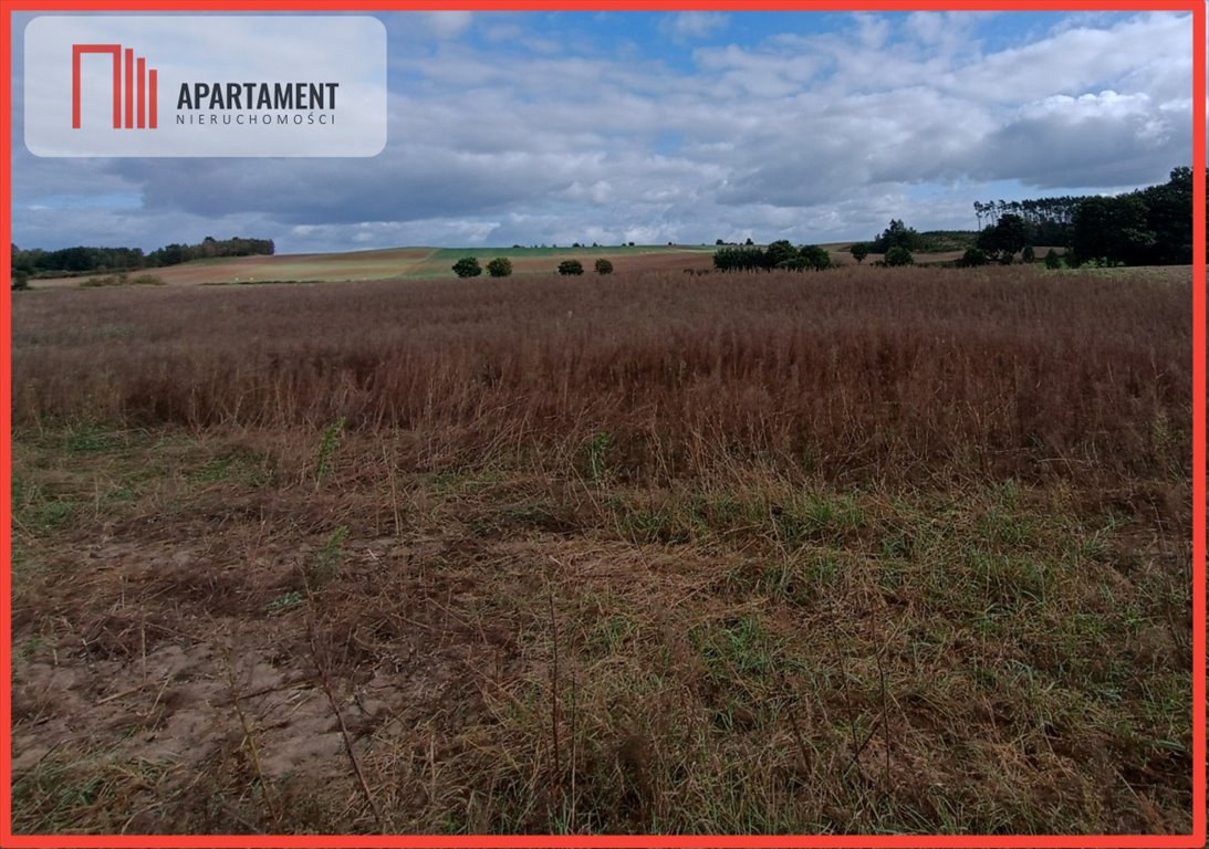 Działka gospodarstwo rolne na sprzedaż Ostromecko  1 004m2 Foto 1