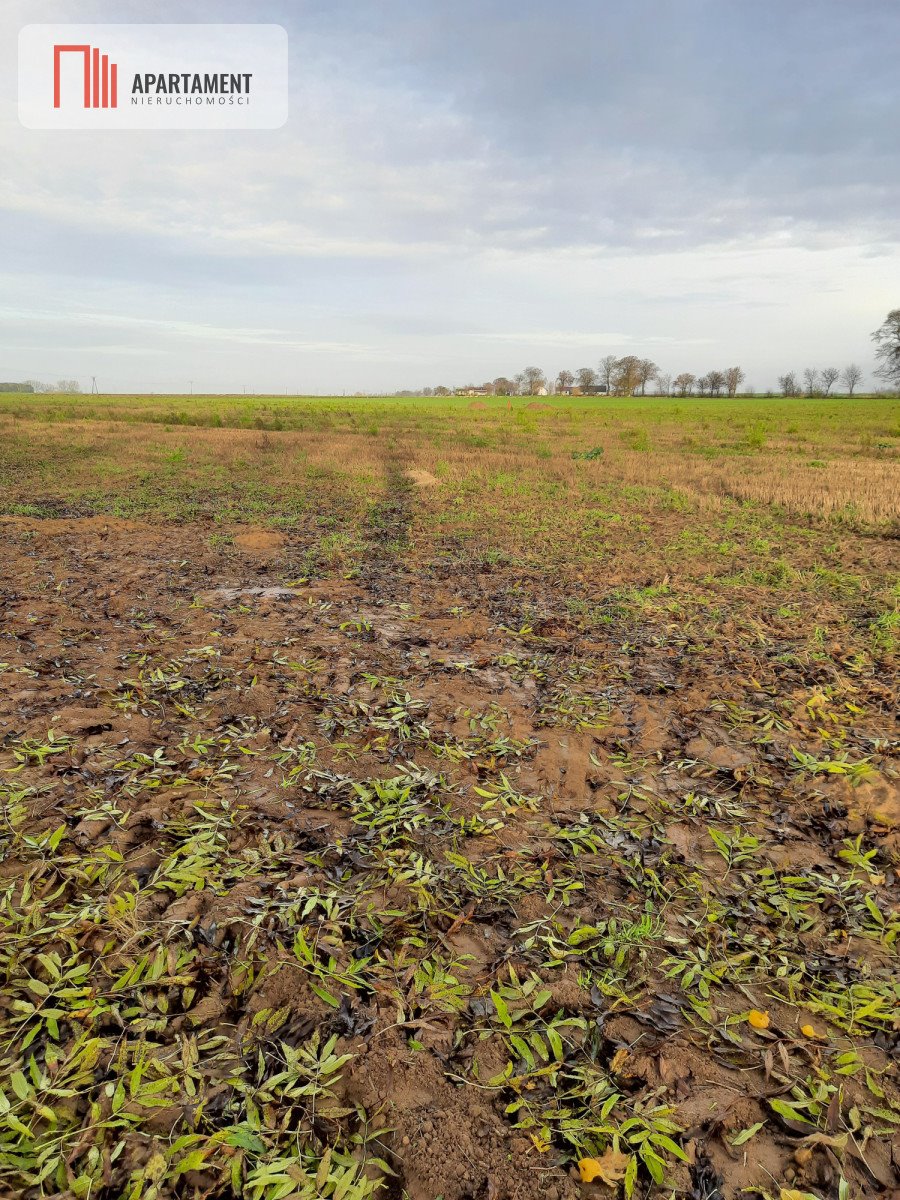 Działka budowlana na sprzedaż Jaroszewo  1 300m2 Foto 2