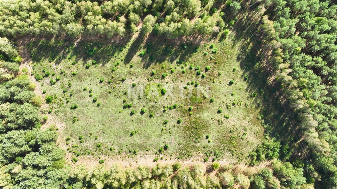 Działka budowlana na sprzedaż Sokule  3 000m2 Foto 4