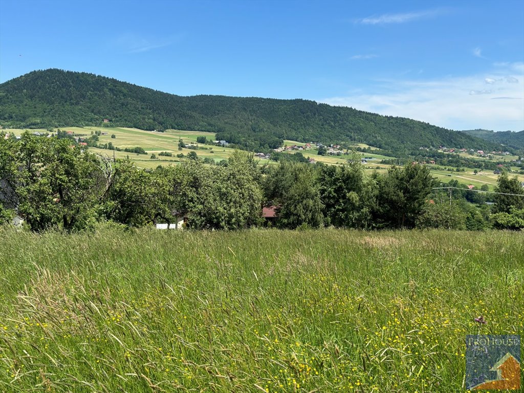 Działka budowlana na sprzedaż Pisarzowa  1 179m2 Foto 4