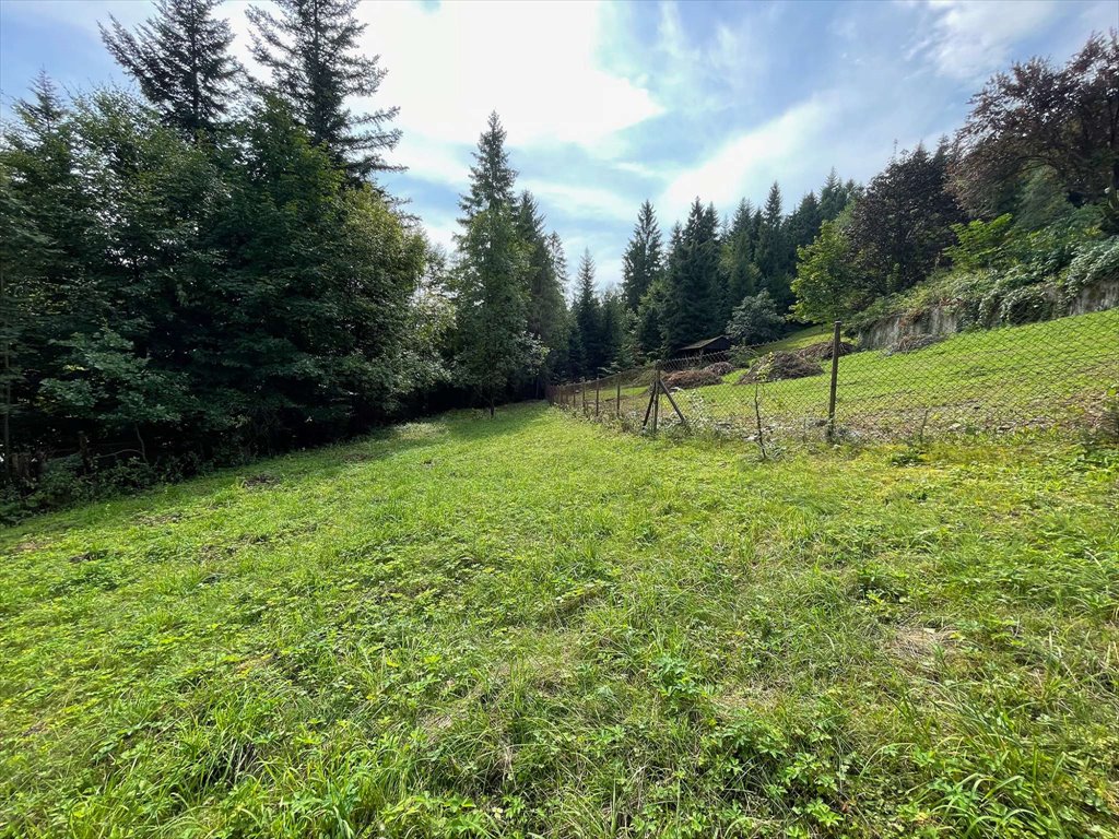 Działka budowlana na sprzedaż Wisła, Wisła  2 750m2 Foto 4
