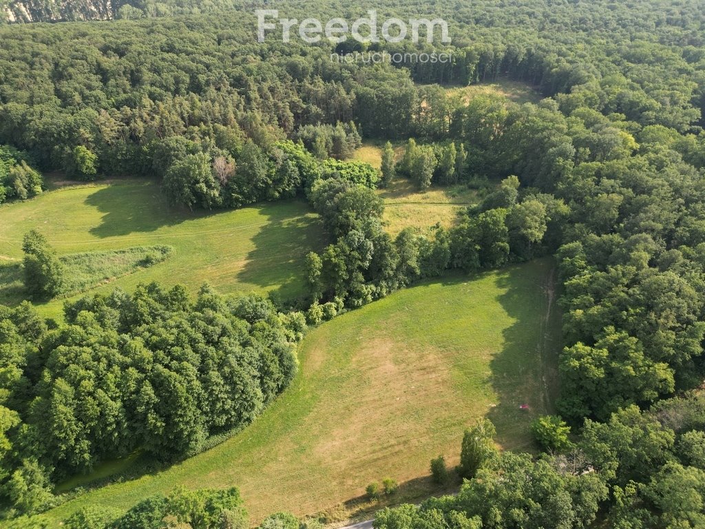 Działka inna na sprzedaż Dolsk  15 000m2 Foto 7