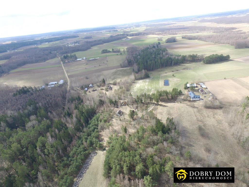 Działka rolna na sprzedaż Trzyrzeczki  6 400m2 Foto 4