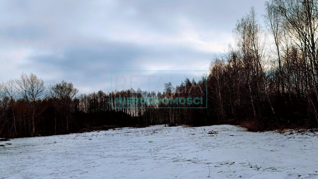 Działka rolna 8 700 m² z wodą i prądem, siedlisko Nowa Bukówka  8 700m2 Foto 1