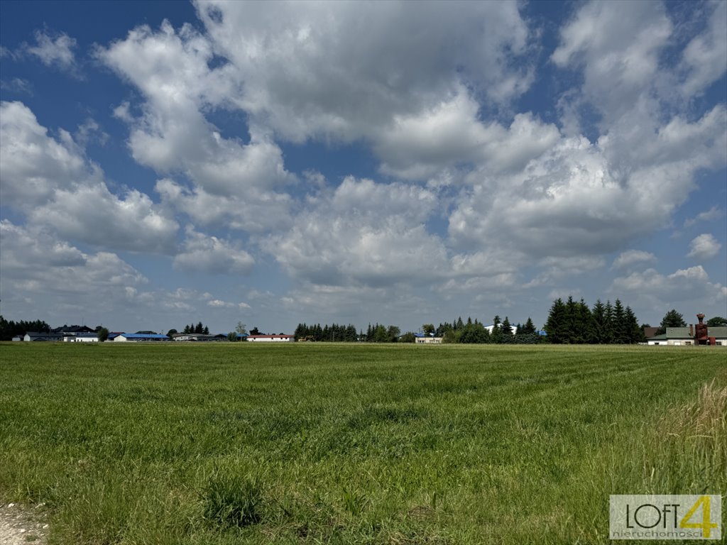 Działka budowlana na sprzedaż Borzęcin  2 600m2 Foto 7