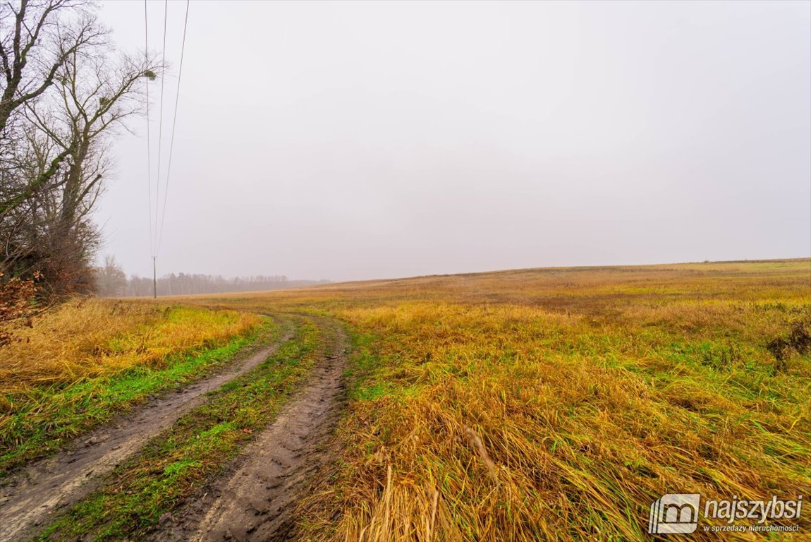 Działka inna na sprzedaż Nowogard, obrzeża  8 137m2 Foto 15