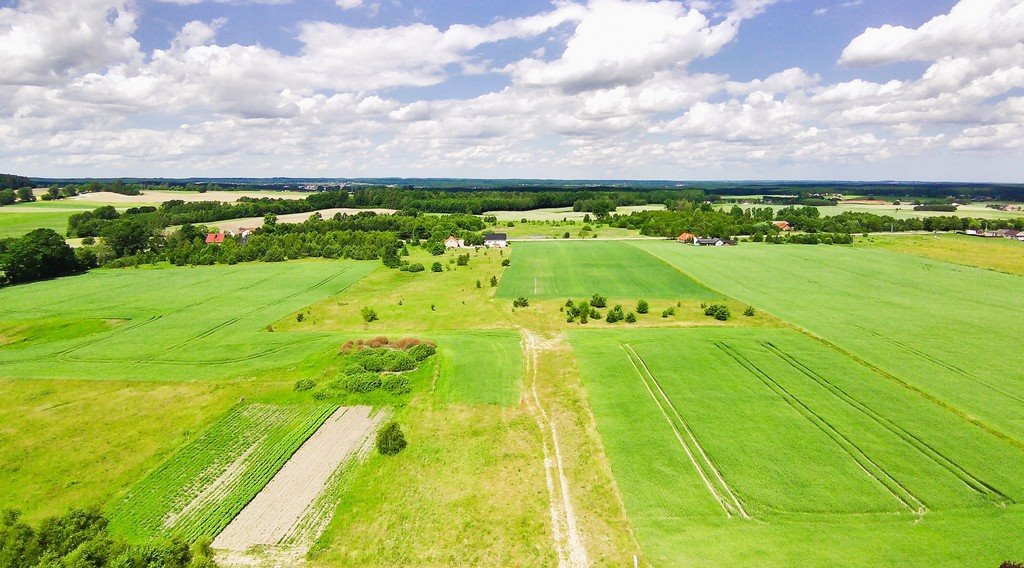 Działka budowlana na sprzedaż Borcz, Spokojna  1 292m2 Foto 5