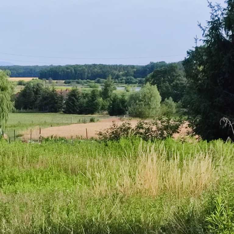 Działka budowlana na sprzedaż Grodzanów  1 000m2 Foto 8