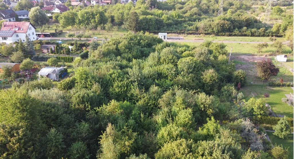Działka budowlana na sprzedaż Szczecin, Gumieńce, Leopolda Okulickiego  5 246m2 Foto 3