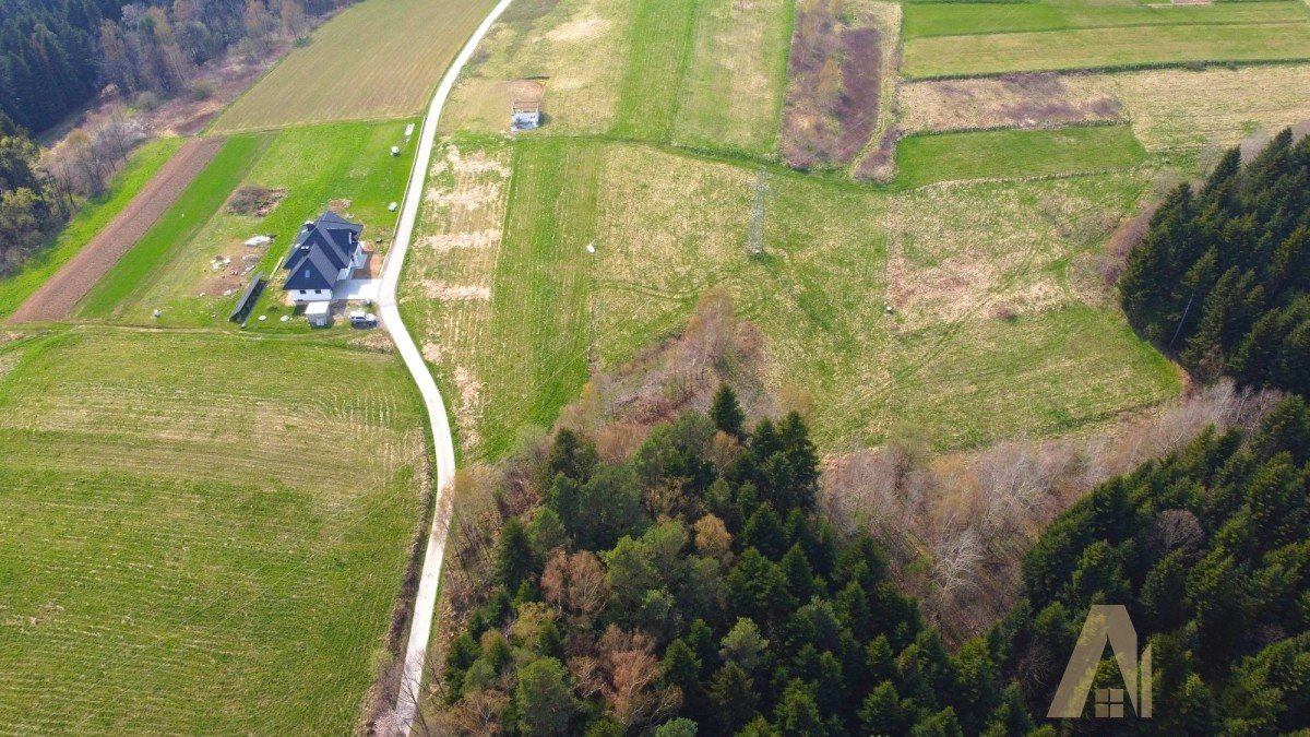 Działka budowlana na sprzedaż Paszyn  6 000m2 Foto 2