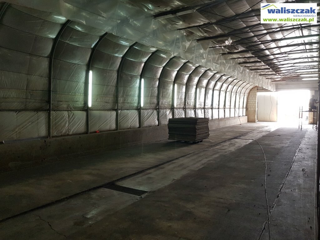 Lokal użytkowy na wynajem Piotrków Trybunalski  360m2 Foto 3