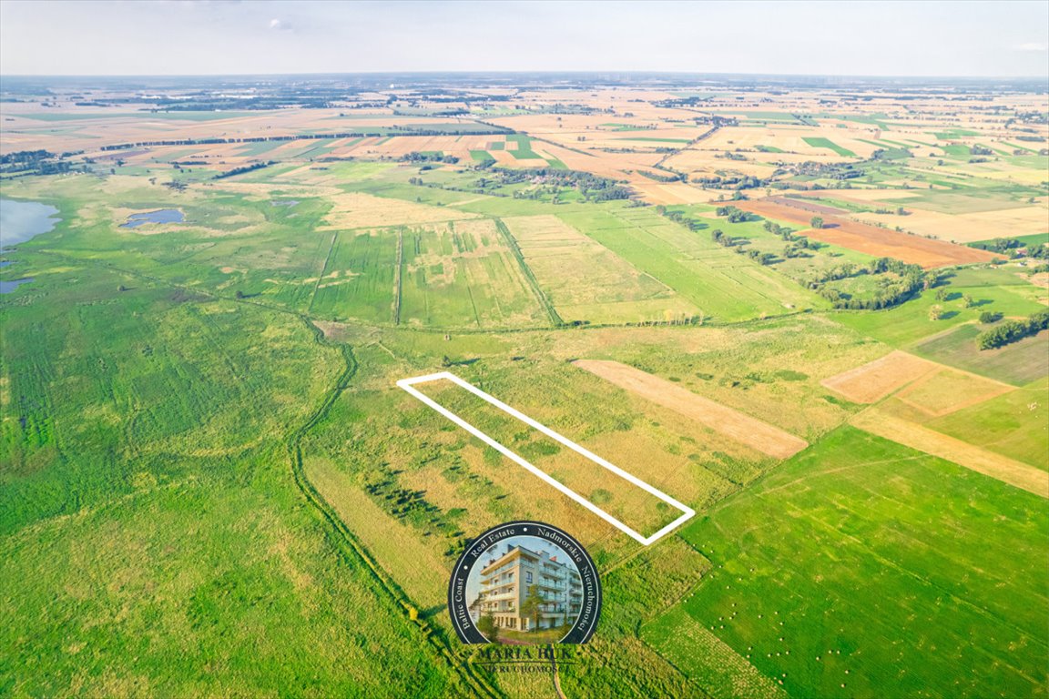 Działka gospodarstwo rolne na sprzedaż Ryszewo  13 500m2 Foto 2