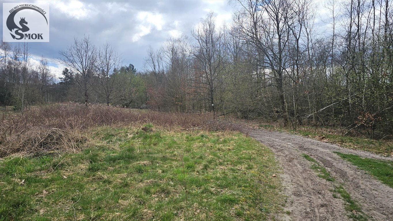 Działka rolna na sprzedaż Przeginia Narodowa  180 000m2 Foto 7