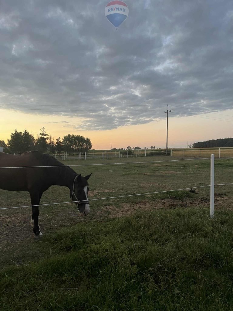 Działka budowlana pod dzierżawę Buk  2 018m2 Foto 1