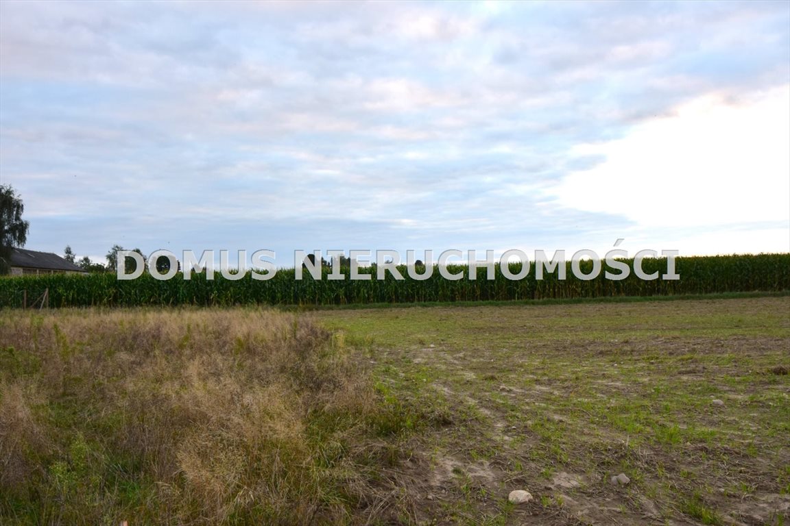 Działka siedliskowa na sprzedaż Tworzyjanki  3 001m2 Foto 2