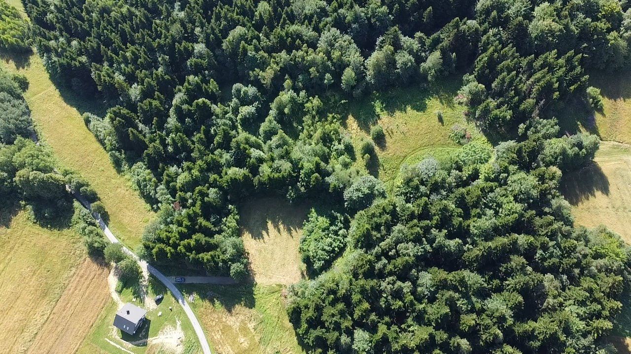 Działka budowlana na sprzedaż Szalowa  3 100m2 Foto 3