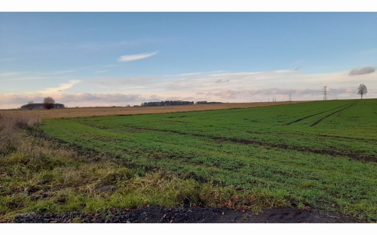 Działka budowlana na sprzedaż Krzeczyn Wielki, Krzeczyn Wielki  1 000m2 Foto 2