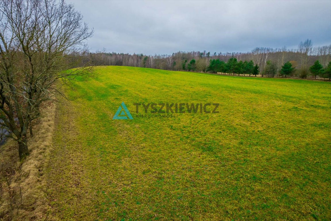 Działka rolna na sprzedaż Głodowo  28 400m2 Foto 4