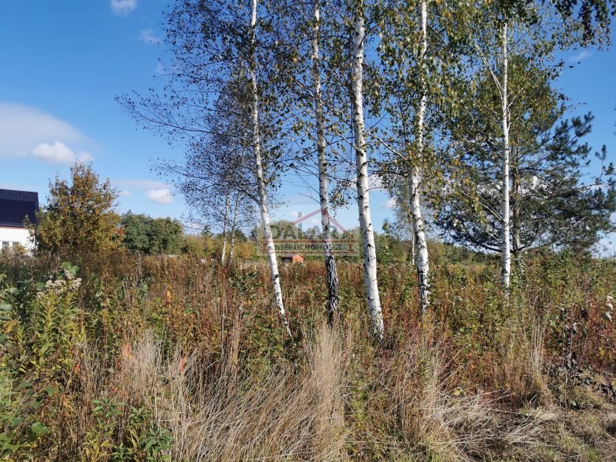 Działka budowlana na sprzedaż Stefanówka  1 100m2 Foto 3