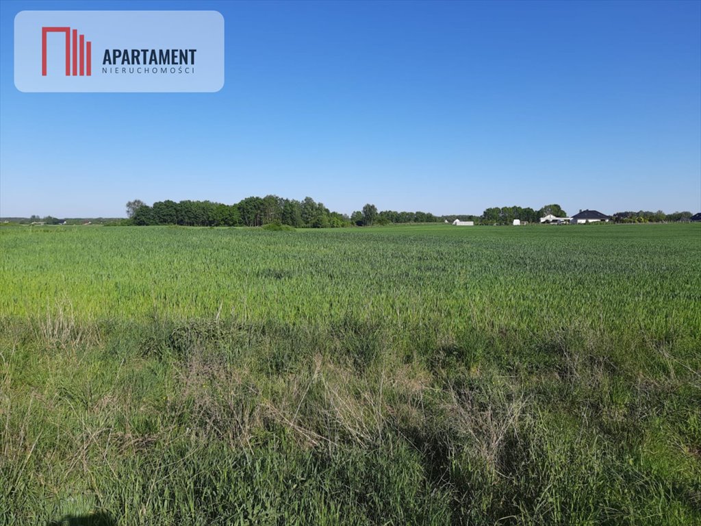 Działka budowlana na sprzedaż Rokocin, Diamentowa  1 000m2 Foto 6