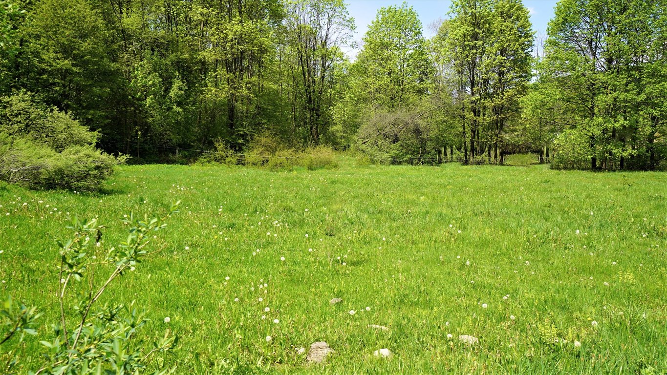 Działka budowlana na sprzedaż Nowica  1 500m2 Foto 6