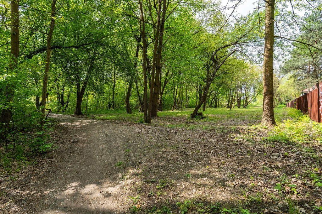 Działka budowlana na sprzedaż Józefów  2 100m2 Foto 2